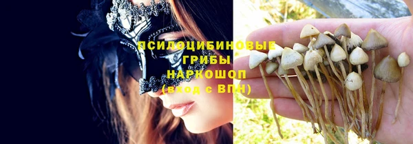 трава Уссурийск