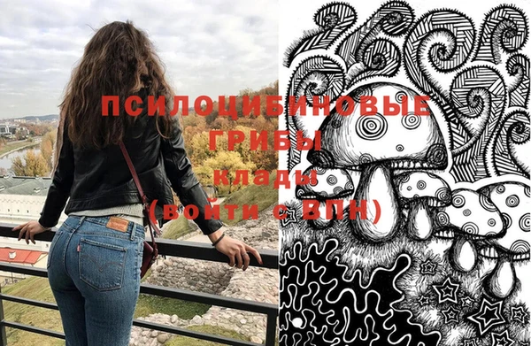 твердый Лиски