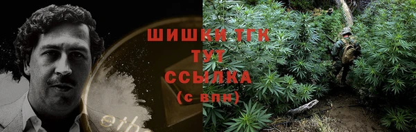 твердый Лиски