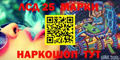 mdpv Камышлов
