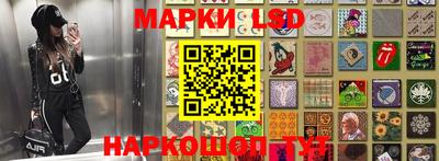 mdpv Камышлов