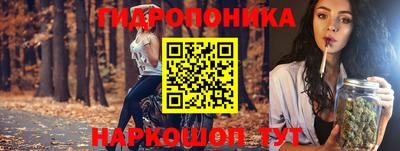 стаф Гагарин