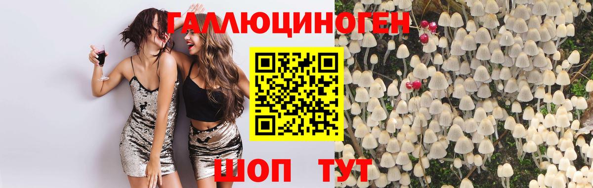 Псилоцибиновые грибы Magic Shrooms  Вход с VPN  Геленджик 