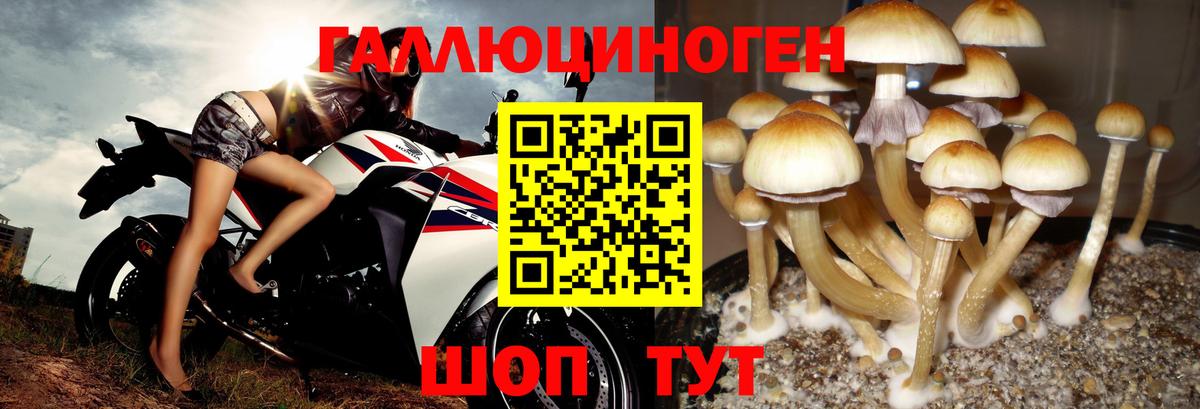 Галлюциногенные грибы Magic Shrooms Геленджик
