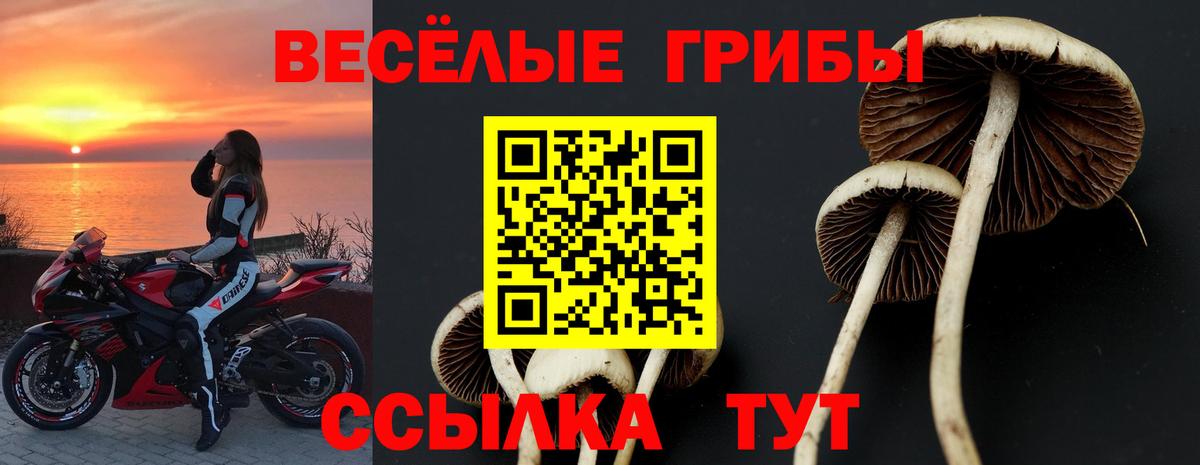 Псилоцибиновые грибы прущие грибы  Геленджик 
