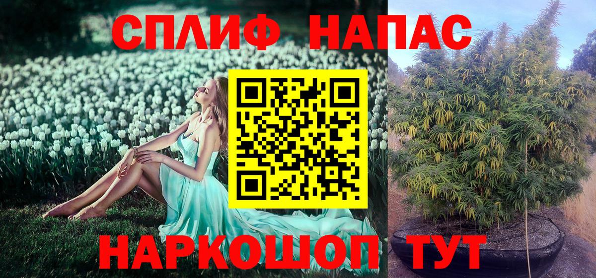 Марихуана планчик  Канабис Bruce Banner  Марихуана тримм  Канабис конопля  Геленджик 